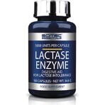 Scitec Nutrition Lactase Enzyme 1×100 cps, dietary supplement