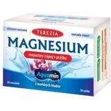 TEREZIA MAGNESIUM boisson soluble en poudre 30×6 g, complément alimentaire