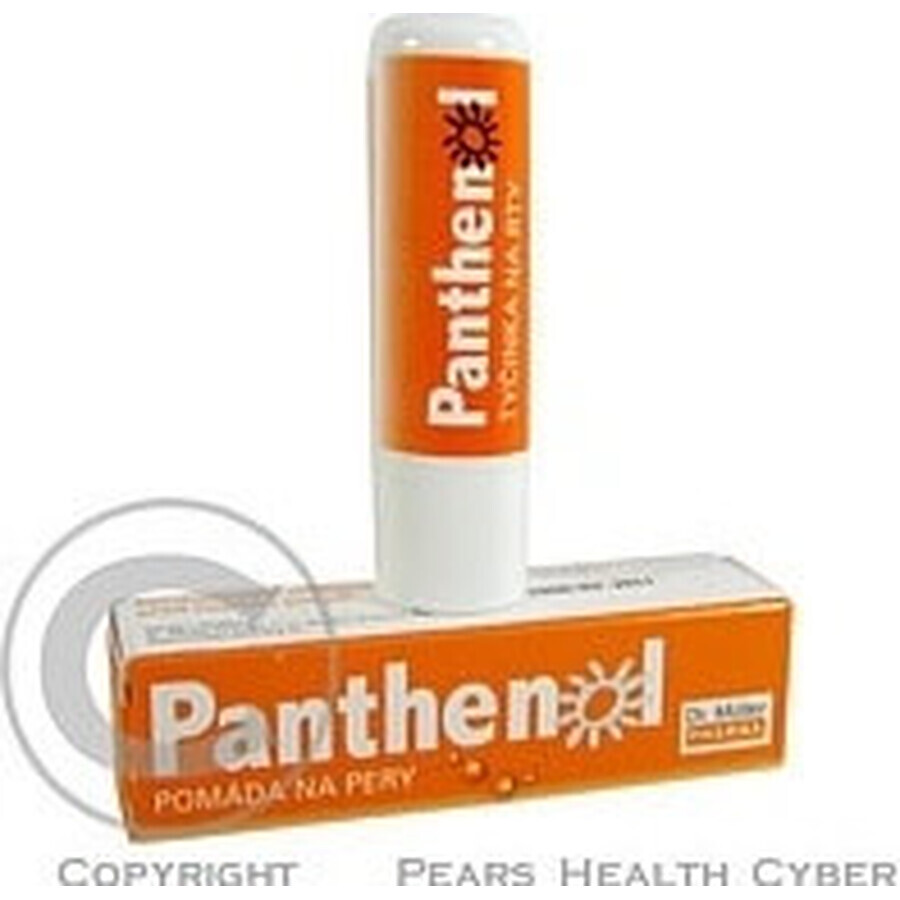 PANTHENOL PERY POMADE 4.4G DR.MULLER 1×1 St., für trockene Lippen