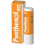 PANTHENOL PERY POMADE 4.4G DR.MULLER 1×1 St., für trockene Lippen