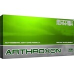 Scitec Nutrition Arthroxon Plus 1×108 cps, dietary supplement