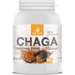 Allnature Chaga 1×100 cps, complément alimentaire