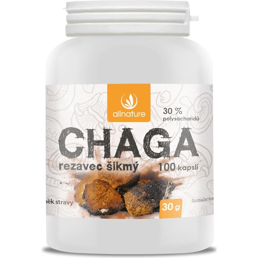 Allnature Chaga 1×100 cps, complément alimentaire