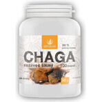 Allnature Chaga 1×100 cps, complément alimentaire