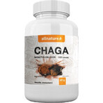 Allnature Chaga 1×100 cps, complément alimentaire