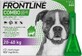 FRONTLINE COMBO spot-on spot-on pour CHIEN L 3 x 2.68 ml 3x2.68 ml 3x2.68 ml, solution pour chiens