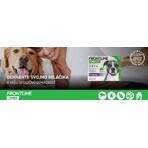 FRONTLINE COMBO spot-on spot-on para PERRO L 3 x 2,68 ml 3x2,68 ml 3x2,68 ml, solución para perros