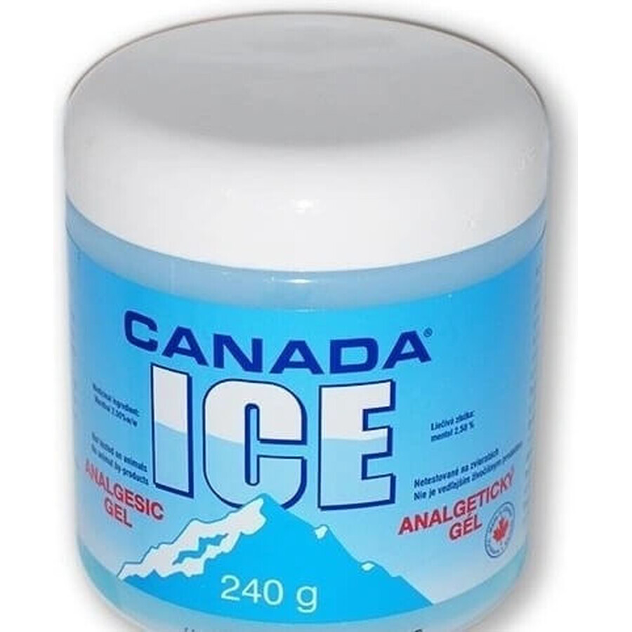 CANADA ICE GEL 1×240 ml, analgésique