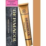 DERMACOL MAKE-UP COVER 224 1×30 g, maquillage