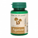 Agaricus Protection Cellulaire Naturelle, 60 cpr, Dacia Plant