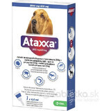 Ataxxa 2000 mg/400 mg (chiens de plus de 25 kg) 1×4 ml, solution pour chiens