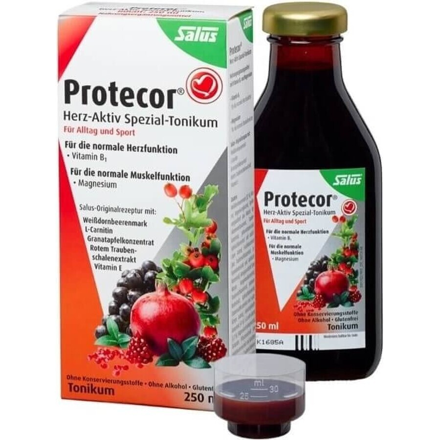 SALUS Protecor Actief Hart Kruidentonic 1x250 ml