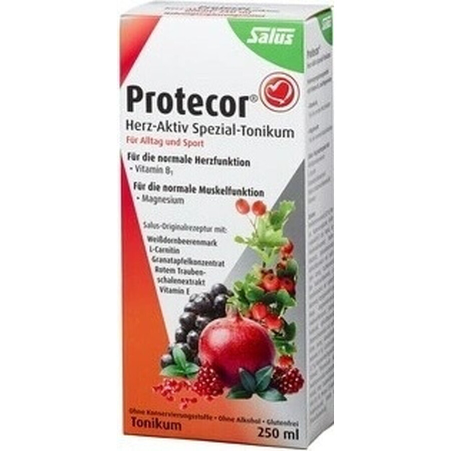 SALUS Protecor Actief Hart Kruidentonic 1x250 ml