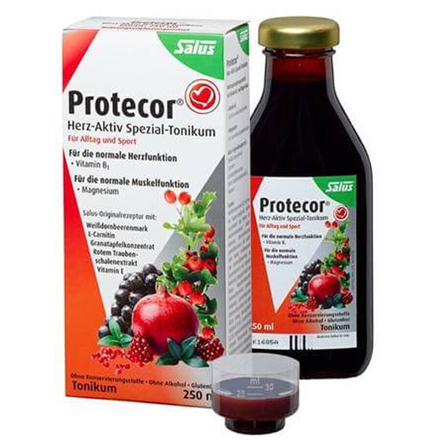 SALUS Protecor Actief Hart Kruidentonic 1x250 ml