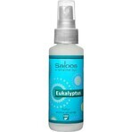 SALOOS Luchtverfrisser Eucalyptus 1×50 ml aroma Eucalyptus Luchtspray