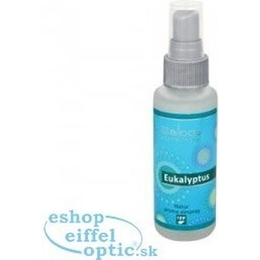 SALOOS Luchtverfrisser Eucalyptus 1×50 ml aroma Eucalyptus Luchtspray