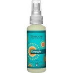 SALOOS Luchtverfrisser Eucalyptus 1×50 ml aroma Eucalyptus Luchtspray