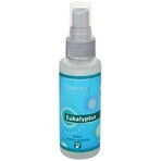 SALOOS Luchtverfrisser Eucalyptus 1×50 ml aroma Eucalyptus Luchtspray