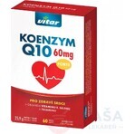 KOENZYM Q10 60 mg FORTE 1×60 cps, mit Vitamin E und Selen