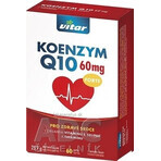 KOENZYM Q10 60 mg FORTE 1×60 cps, mit Vitamin E und Selen