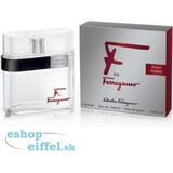 Salvatore Ferragamo F Pour Homme Edt 100ml 1×100 ml, eau de toilette