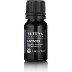 Alteya Organics Aceite de Lavanda 1×10 ml, aceite esencial