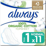 Always Cotton 11st Normaal 1×11st, tampons