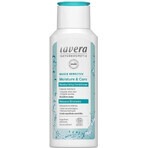 lavera Basis Moisture & Care Conditioner 1×200 ml, Conditioner