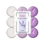 BOLSIUS Sensilight LAVENDER velas de té Sensilight LAVENDER 1×9 unidades, tricolor