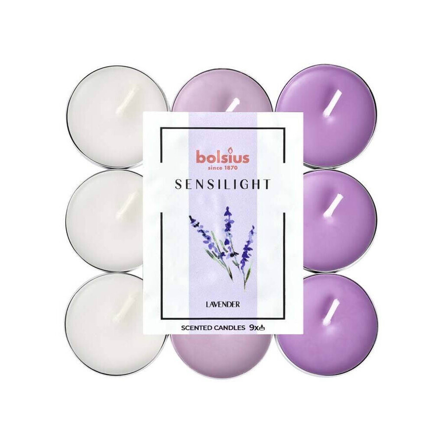 BOLSIUS Sensilight LAVENDER velas de té Sensilight LAVENDER 1×9 unidades, tricolor