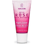 WELEDA Rosa glättende Nachtcreme 1×30 ml, Nachtcreme