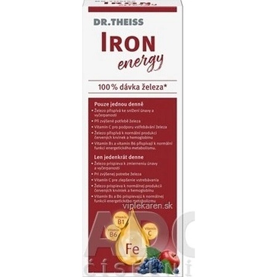 Dr. Theiss Iron Energy 1×250 ml, Nahrungsergänzungsmittel