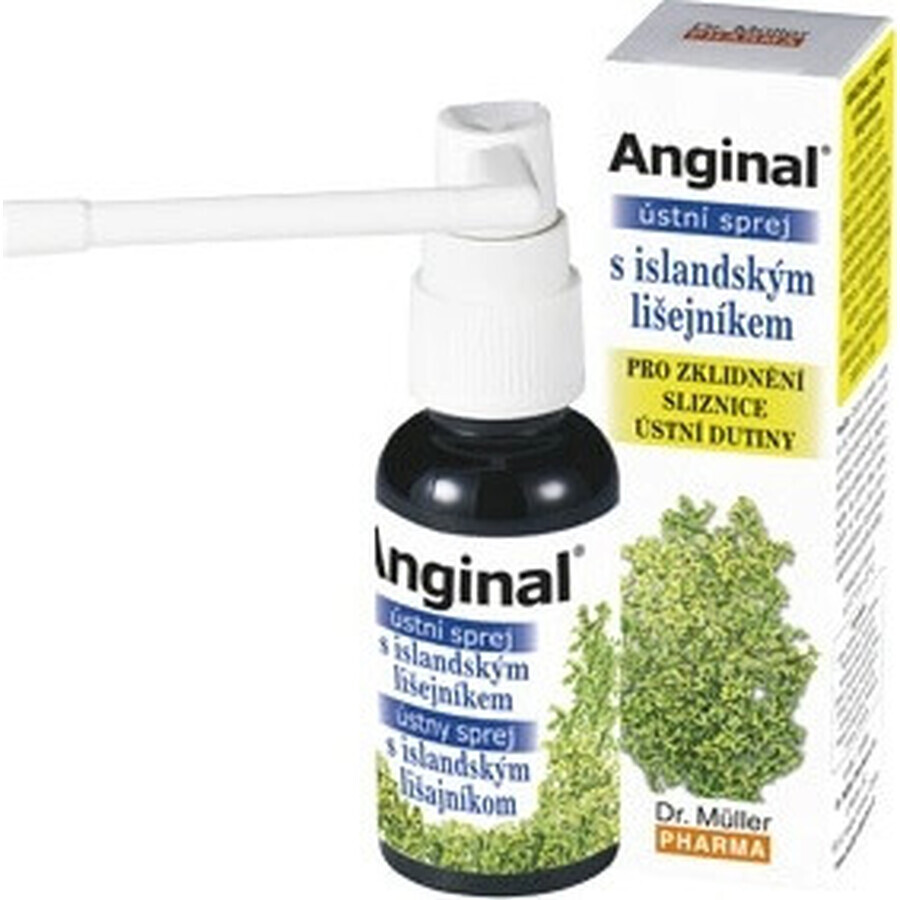 Dr. Müller ANGINAL Mundspray 1×30 ml, Mundspray