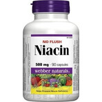 WEBBER NATURALS Niacin B3 500 mg non-allergenic! 1×90 cps, food supplement