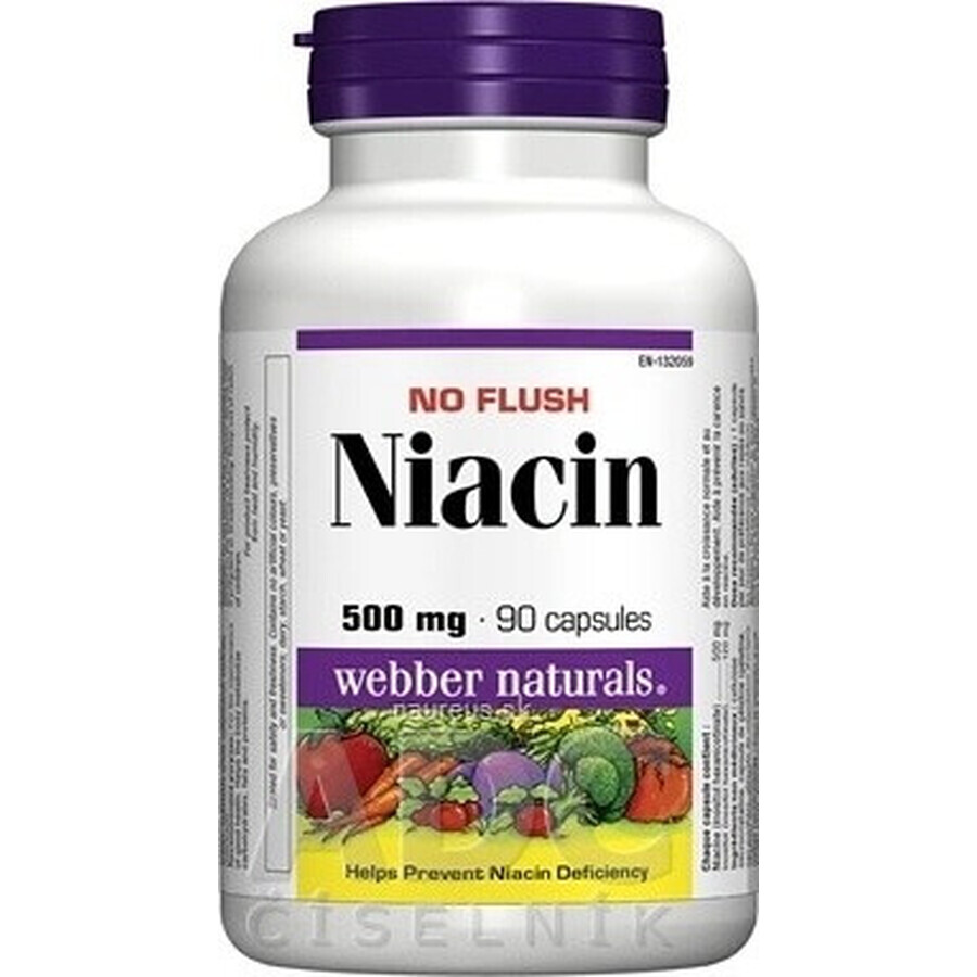 WEBBER NATURALS Niacin B3 500 mg non-allergenic! 1×90 cps, food supplement