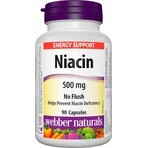 WEBBER NATURALS Niacin B3 500 mg non-allergenic! 1×90 cps, food supplement