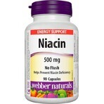 WEBBER NATURALS Niacin B3 500 mg non-allergenic! 1×90 cps, food supplement