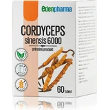 EDENPharma CORDYCEPS sinensis 6000 1×60 tbl, food supplement