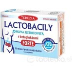 TEREZIA LACTOBACILY + USTRICOUS FUNGUS 1x10 cps, avec bêta-glucanes FORTE