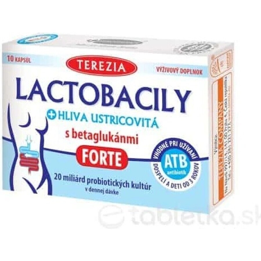 TEREZIA LACTOBACILY + USTRICOUS FUNGUS 1x10 cps, avec bêta-glucanes FORTE