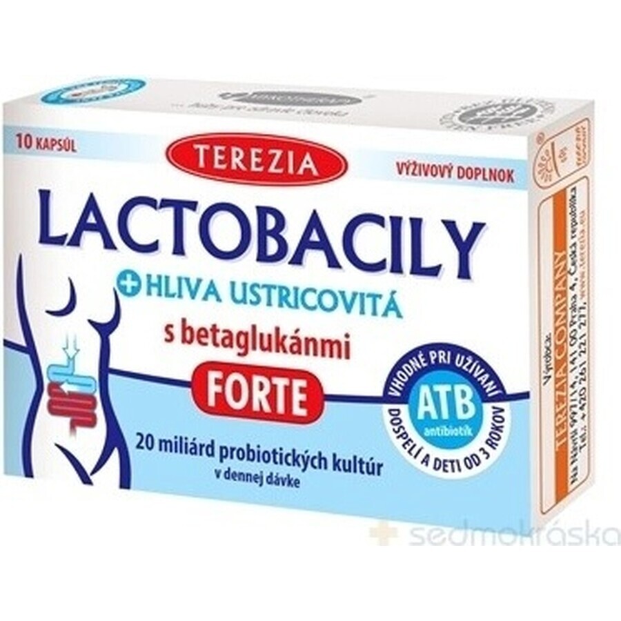 TEREZIA LACTOBACILY + USTRICOUS FUNGUS 1x10 cps, avec bêta-glucanes FORTE