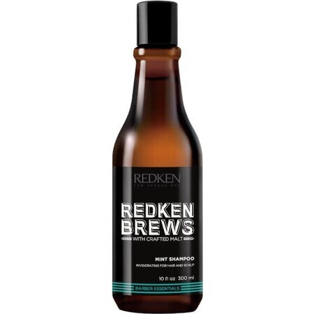 Redken Invigorating Hair Shampoo with Mint for Men Brews 1×300 ml, shampoo