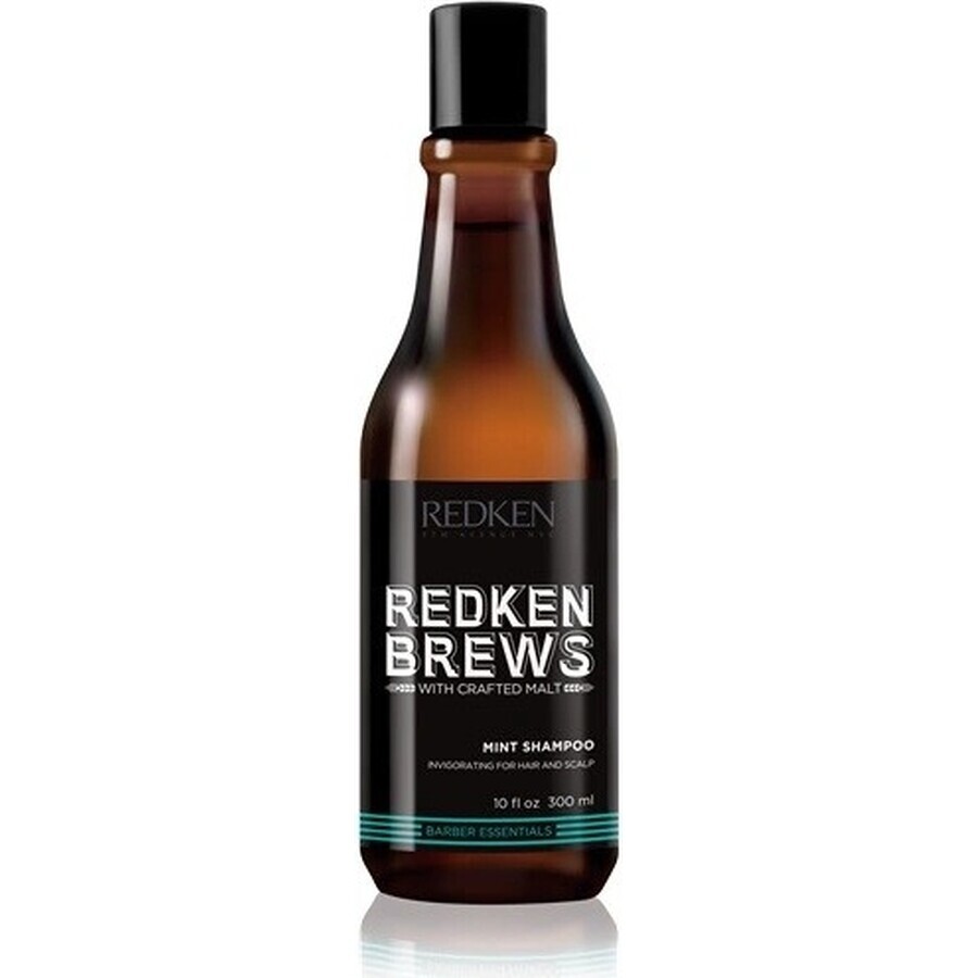 Redken Invigorating Hair Shampoo with Mint for Men Brews 1×300 ml, shampoo