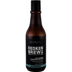 Redken Invigorating Hair Shampoo with Mint for Men Brews 1×300 ml, shampoo