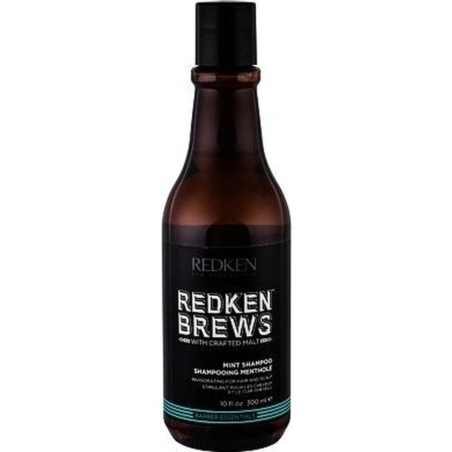 Redken Invigorating Hair Shampoo with Mint for Men Brews 1×300 ml, shampoo