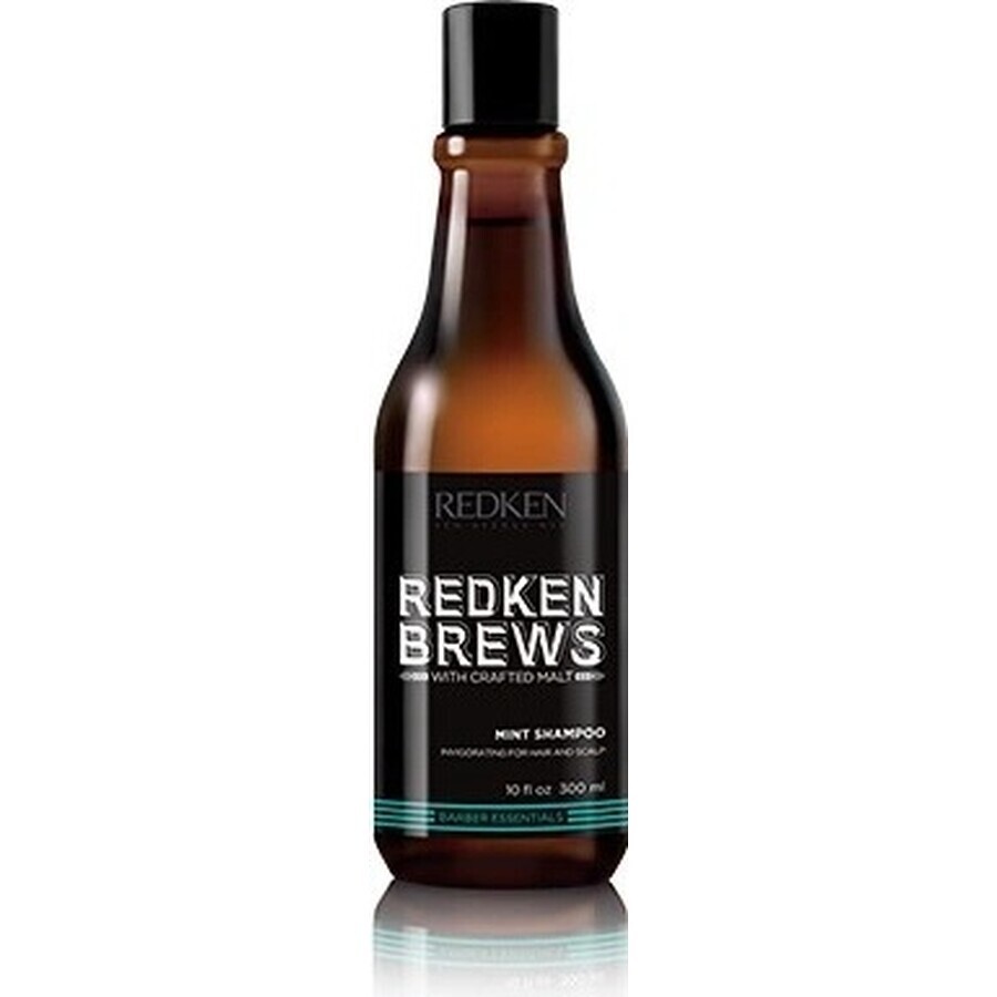 Redken Invigorating Hair Shampoo with Mint for Men Brews 1×300 ml, shampoo