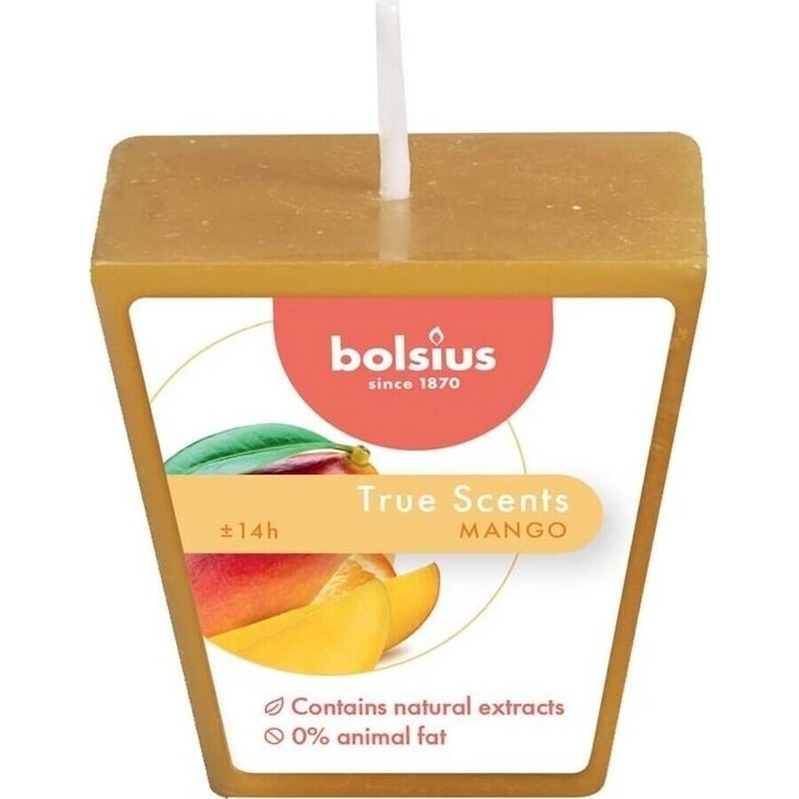 Bolsius Aromatic 2.0 Votive Mango, vela perfumada 1×1 ud, tamaño 48 mm