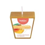 Bolsius Aromatic 2.0 Votive Mango, vela perfumada 1×1 ud, tamaño 48 mm