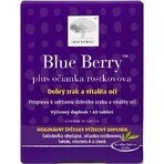 NUEVO NORDIC Blue Berry 1×60 tbl, complemento alimenticio