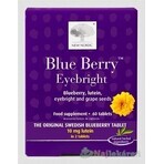 NUEVO NORDIC Blue Berry 1×60 tbl, complemento alimenticio